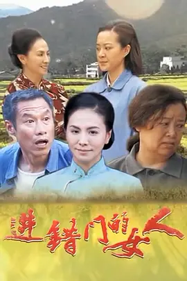 进错门的女人封面图