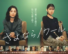 再见黑色封面图