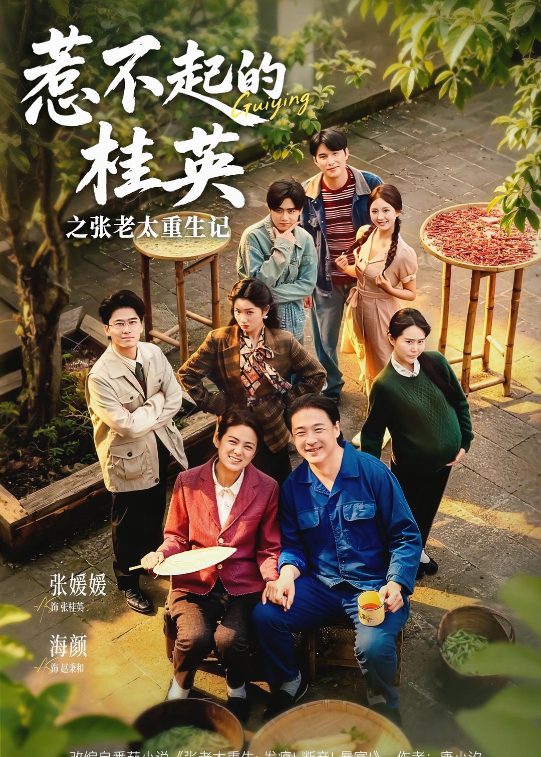 惹不起的桂英之张老太重生记封面图