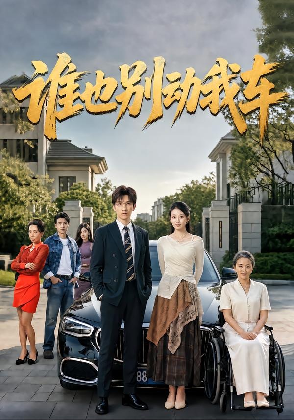 谁也别动我车封面图