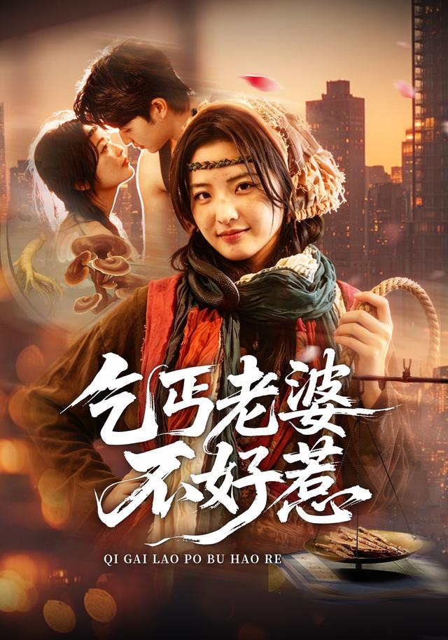 乞丐老婆不好惹封面图