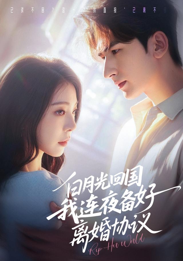 白月光回国我连夜备好离婚协议封面图