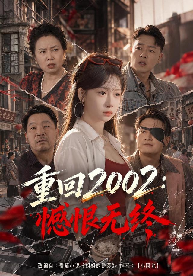重回2002:憾恨无终封面图