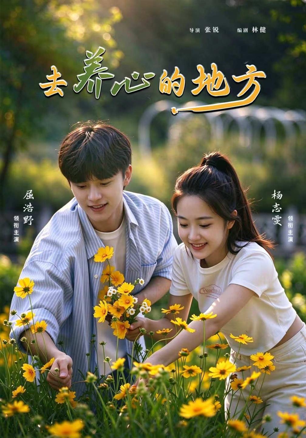 去养心的地方封面图