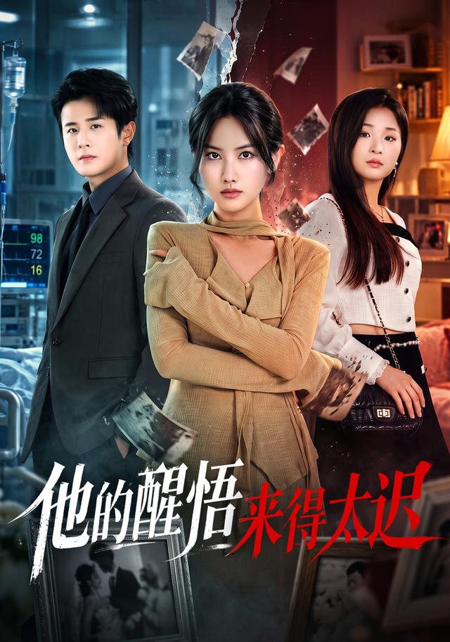 他的醒悟来得太迟封面图